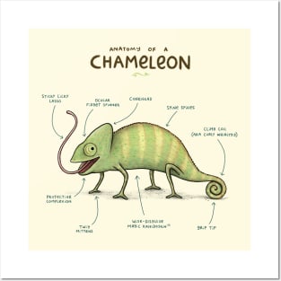 Anatomy of a Chameleon Posters and Art